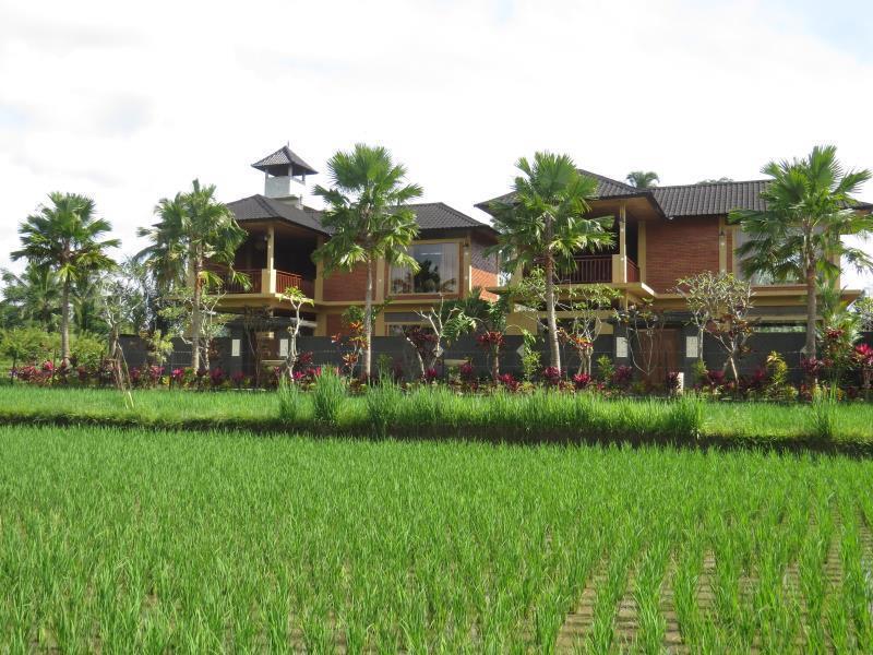 Villa Cempaka Tegalalang Ubud Tampaksiring 外观 照片