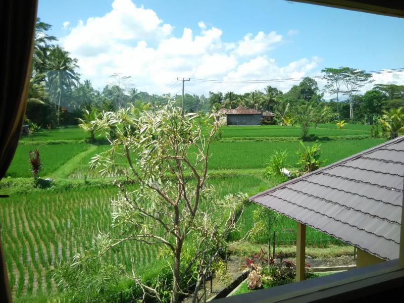 Villa Cempaka Tegalalang Ubud Tampaksiring 外观 照片